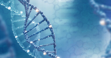 gene therapies