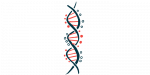 UBE3A variant | Angelman Syndrome News | illustration of DNA