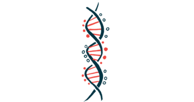 The two interlocking strands of the double helix is shown.