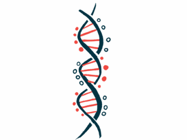The two interlocking strands of the double helix is shown.