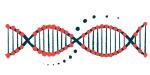 genetic mosaicism in Angelman | Angelman Syndrome News | illustration of DNA strand