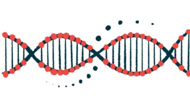 An illustration of a DNA strand.